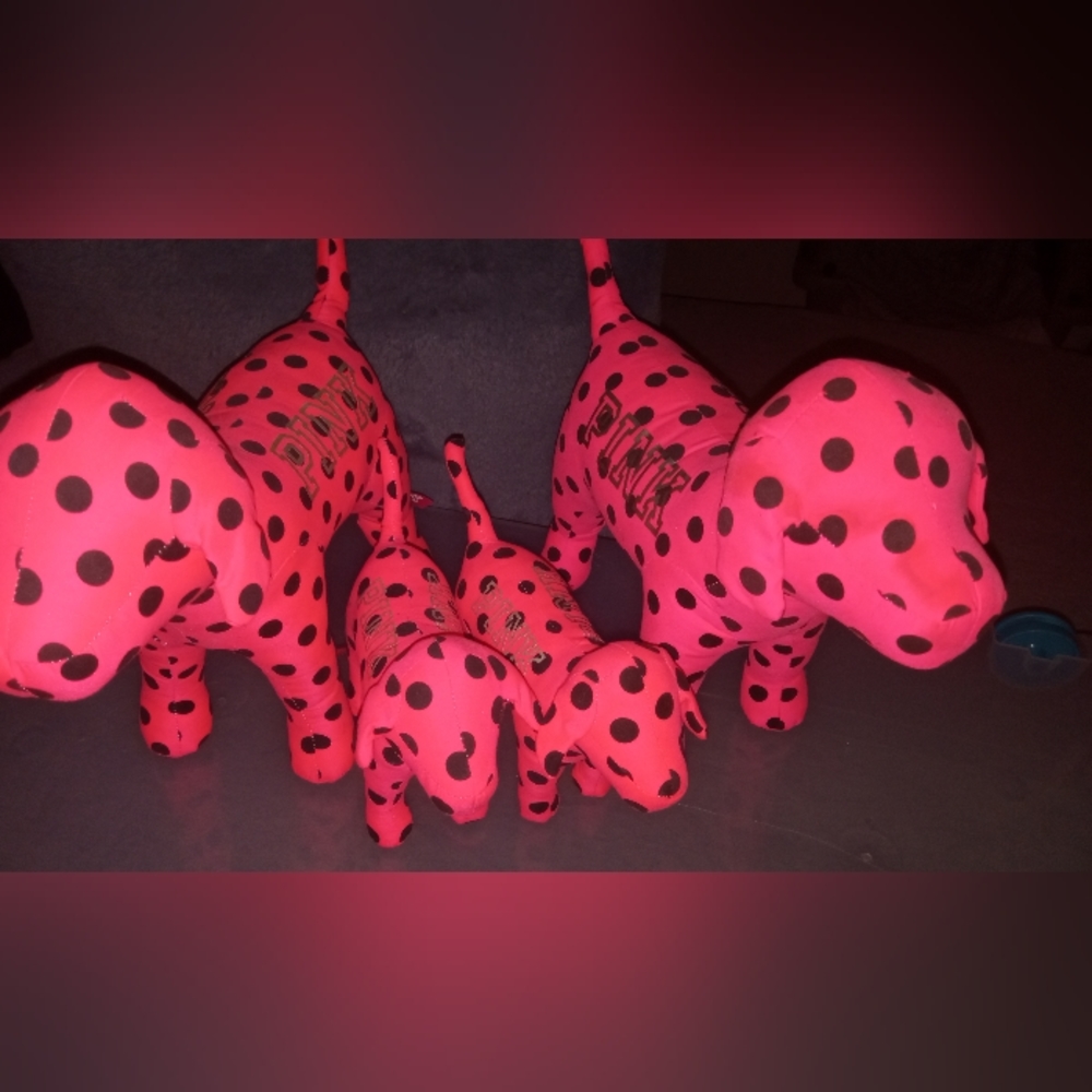 VS PINK GIANT AND REG DOGS